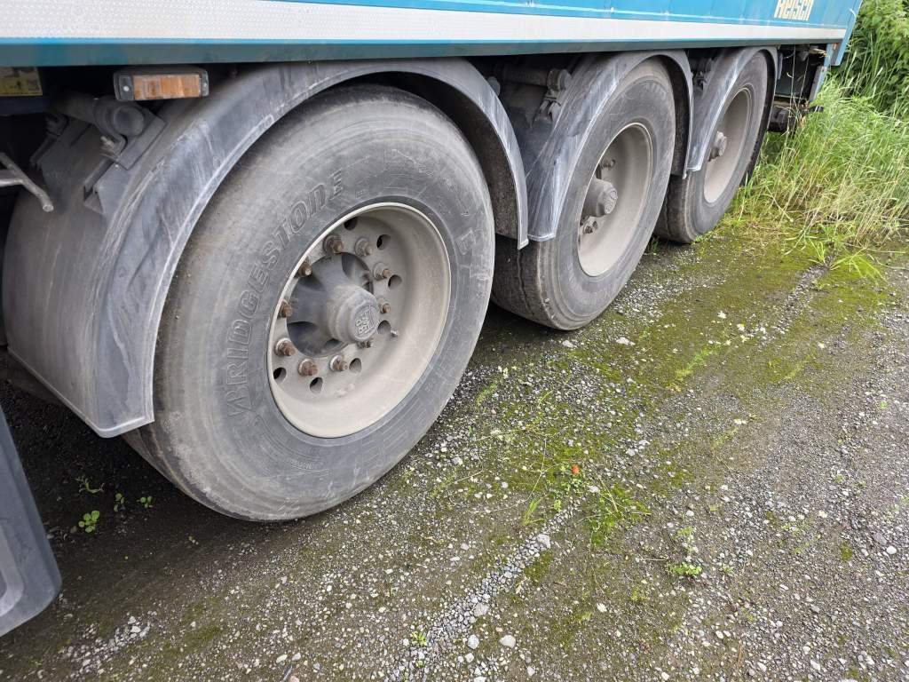 Reisch RSBS-3-10 Schubboden 65 m³ – Bild 19